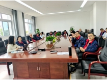 四川飛球升級(jí)協(xié)同辦公系統(tǒng)推進(jìn)數(shù)字化建設(shè)